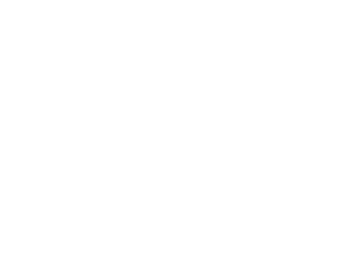 Nazirsons Global logo